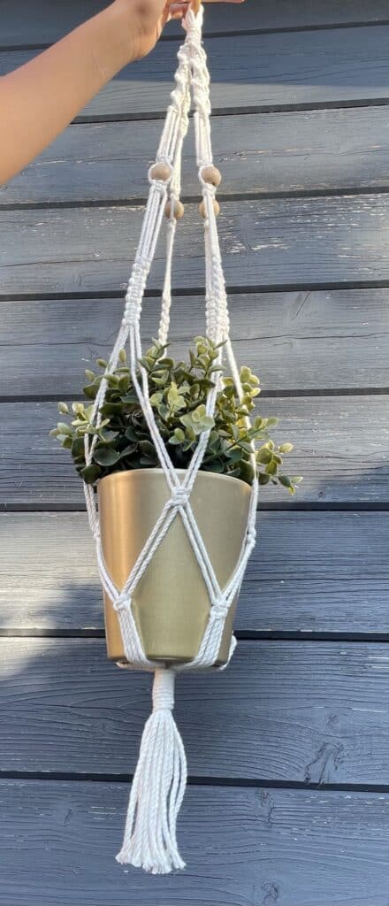 blumenampel 2
