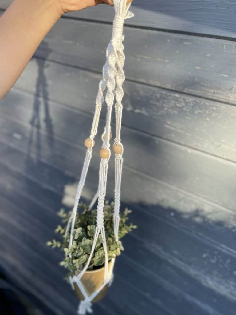 blumenampel